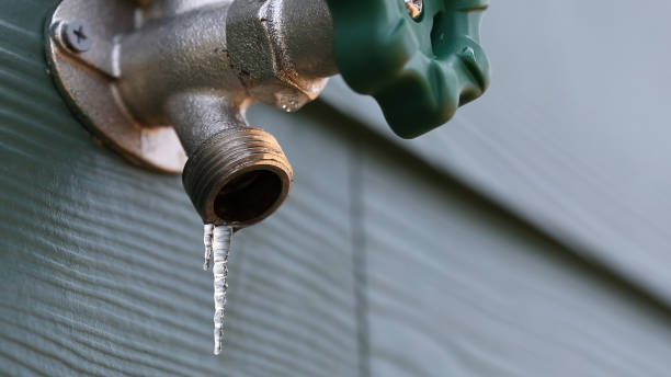 Best Sewer Line Repair  in West Livingston, TX